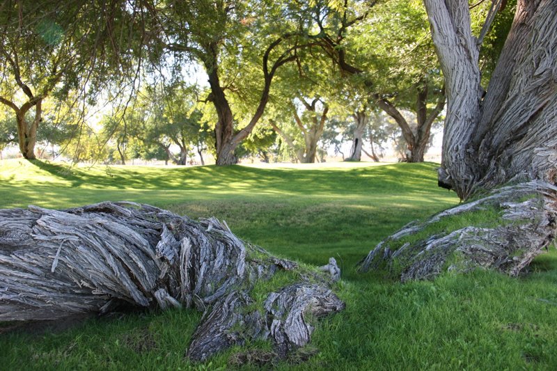 IMG_08411.jpg :: Lazy Day (Hidden Shores, Colorado River) (A2:3) (LE3k)