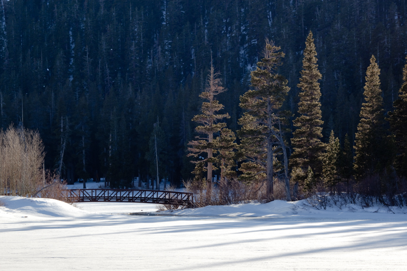 Mammoth_090111_03221.jpg