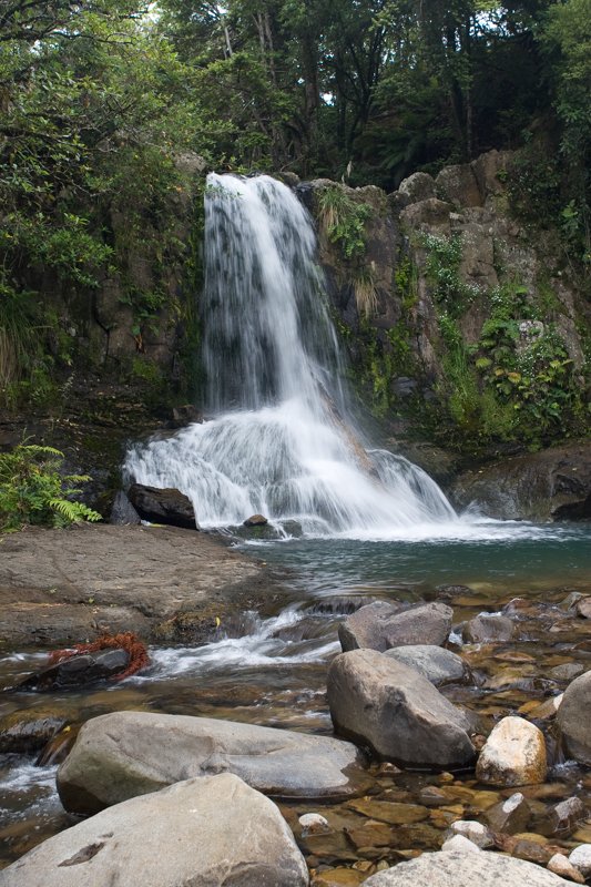 NZ fall1.jpg :: Coromandel, New Zealand (A2:3) (LE3k)