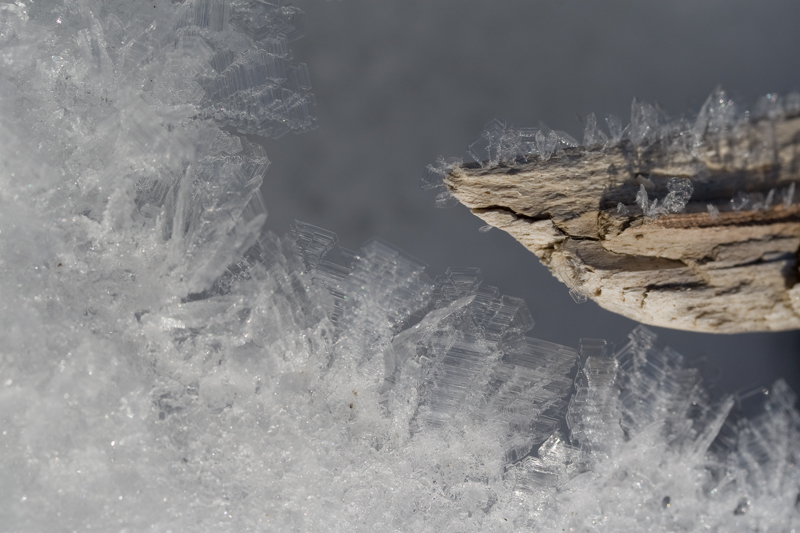 Standing Crystals1.jpg :: Ice Crystals at the edge of Lake Eklutna, AK (A2:3) (LE3k)