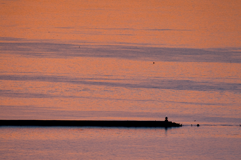 Sunrise Jetty.jpg :: This manmade Jetty accenting the ocean's swells colored by the sunrise create a thought provoking abstract. (A2:3) (LE3k)