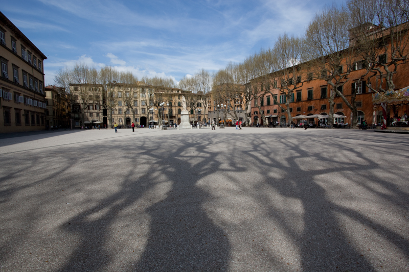 Trunk Shadows.jpg :: And they leave spooky shadows, in this Piazza in Lucca. (A2:3) (LE5k)