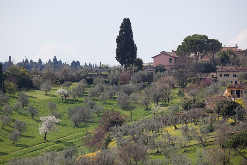 italy_090403_16681.jpg :: (A2:3) (LE5k)
