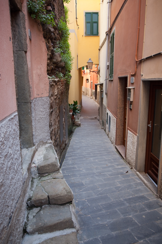 italy_090406_1789.jpg :: Narrow walkways of color.  Check out those steps to that front door.  First town was Riomaggiore. (A2:3) (LE5k)