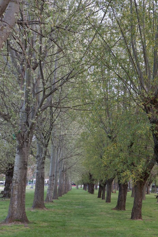 italy_090408_19521.jpg :: (A2:3) (LE5k)