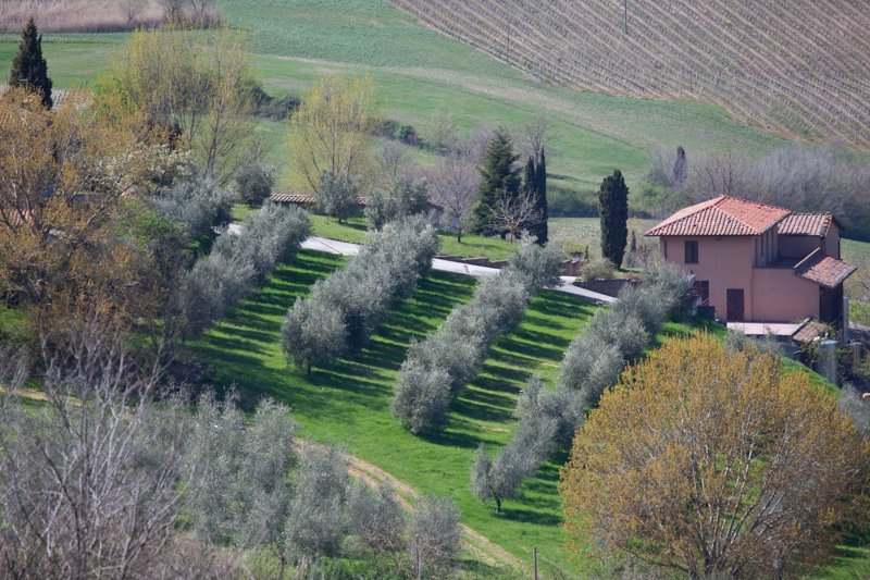 italy_090409_20121.jpg :: (A2:3) (LE4k)