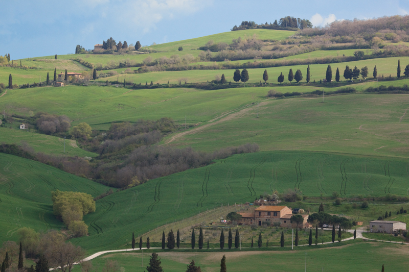italy_090409_20281.jpg :: It was so beautiful on our drives around towns.  Taking a back dirt road. (A2:3) (LE5k)