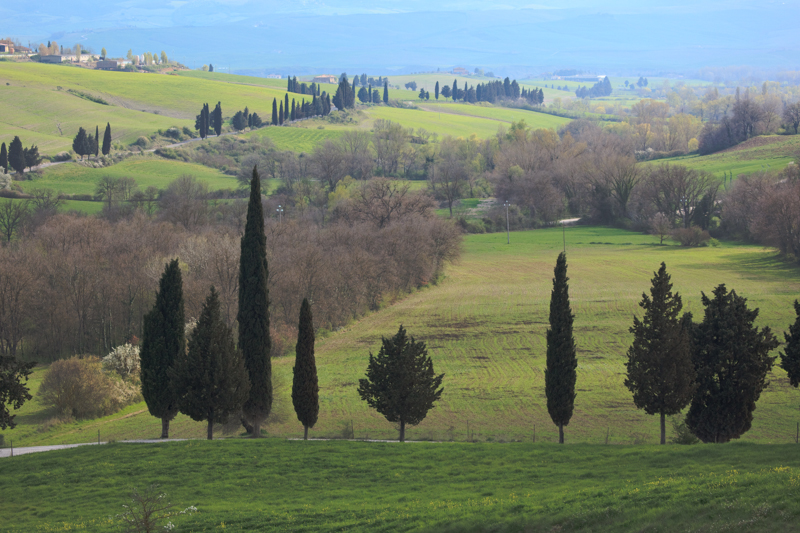 italy_090409_20331.jpg :: (A2:3) (LE5k)