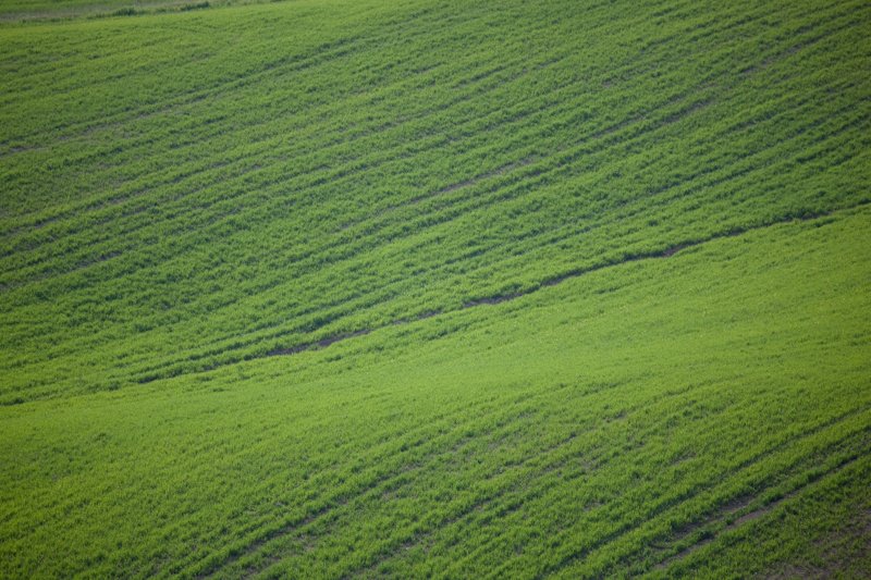 italy_090409_20361.jpg :: Groovy farm land. (A2:3) (LE5k)