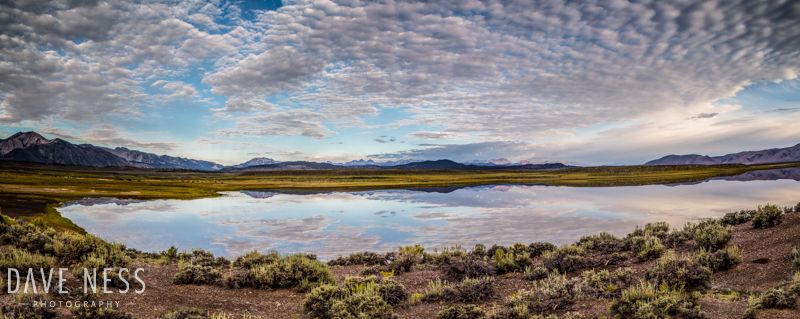 _T3A0656-Pano-Edit.jpg