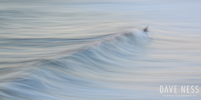 Groovy Wave.jpg