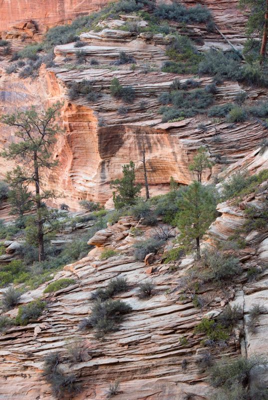 Layers of History.jpg :: These layers tell stories.  (A2:3) (LE7k)