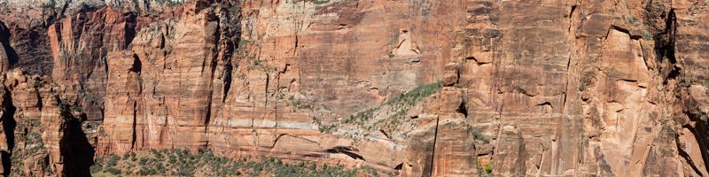 Zion Wall.jpg :: Wall in Zion would make a great wall paper mural (A1:4) (LE19k)