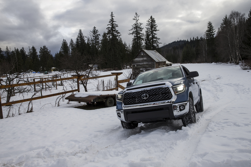 ralphie_65U1291.jpg :: Location: Revelstoke BC  Photo: Bryan Ralph