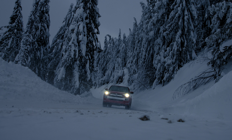 ralphie_65U1662.jpg :: Location: Revelstoke BC  Photo: Bryan Ralph