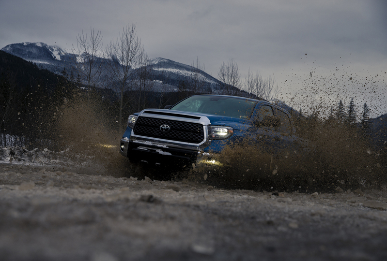 ralphie_65U1896-2.jpg :: Location: Revelstoke BC  Photo: Bryan Ralph