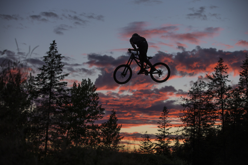 ralphie_65U5703(1).jpg
