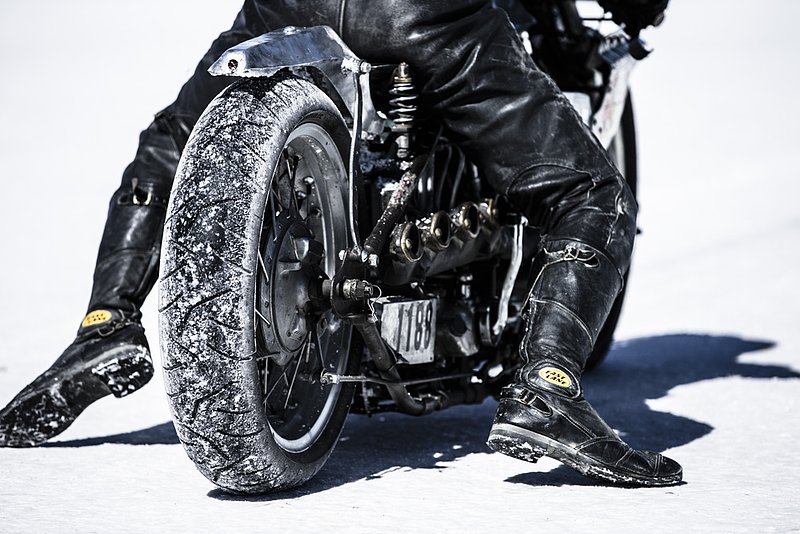 ralphie_65U6684.jpg :: Photo: ralphie