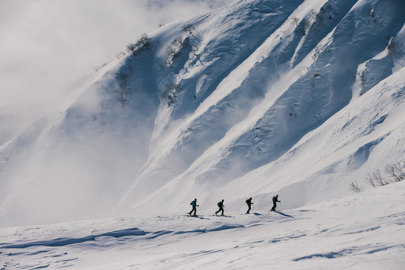 ralphie_65U7018(1).jpg :: Skiers: Matt Margetts, Riley Leboe, Joe Schuster, Mike Henitiuk  Location: Hakuba, Japan  Photo: Bryan Ralph