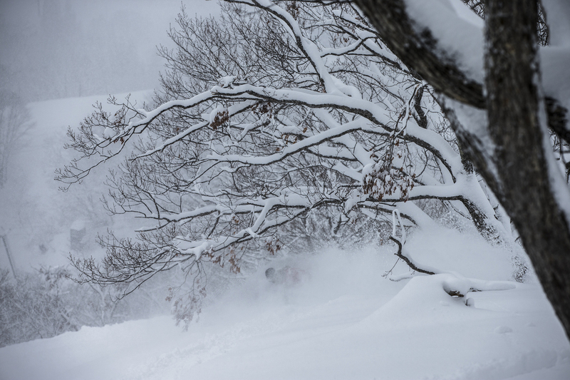 ralphie_65U7782(3).jpg :: Skier: Mike Henitiuk  Location: Hakuba, Japan  Photo: Bryan Ralph