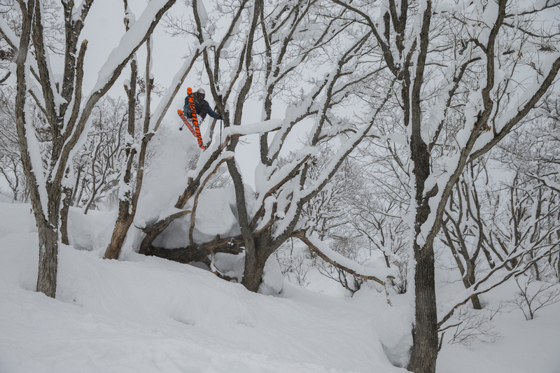 ralphie_65U8192(2).jpg :: Skier: Matt Margetts  Location: Hakuba, Japan  Photo: Bryan Ralph