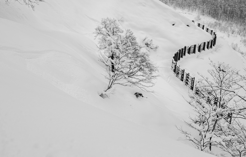 ralphie_65U8433(2).jpg :: Skier: Riley Leboe  Location: Hakuba, Japan  Photo: Bryan Ralph