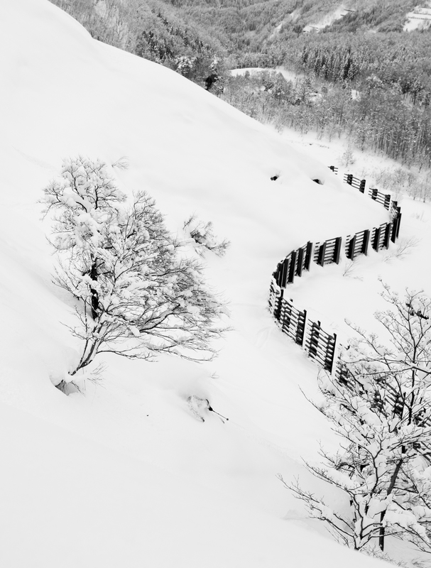 ralphie_65U8435(1).jpg :: Skier: Riley Leboe  Location: Hakuba, Japan  Photo: Bryan Ralph