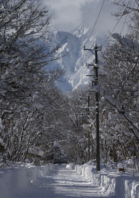 ralphie_65U9056(2).jpg :: Location: Hakuba, Japan  Photo: Bryan Ralph