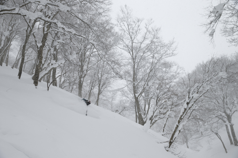 ralphie_65U9490(2).jpg :: Skier: Matt Margetts. Location: Hakuba, Japan. Photo: Bryan Ralph