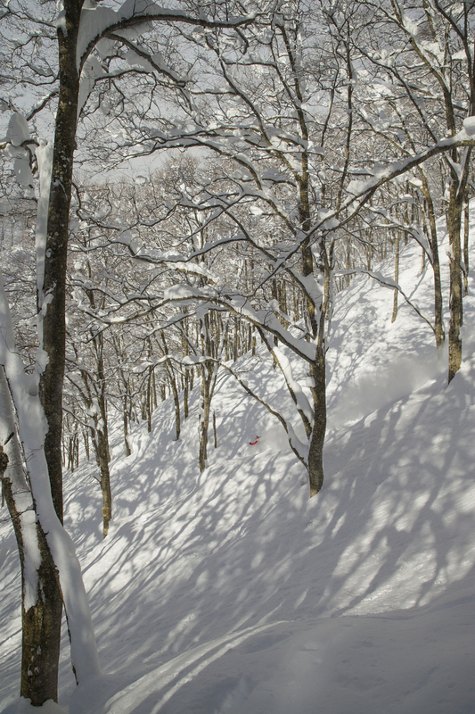 ralphie_65U9849(2).jpg :: Skier: Riley Leboe     Location: Hakuba, Japan  Photo: Bryan Ralph