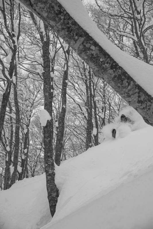 ralphie_65U9909(3).jpg :: Skier: Joe Schuster         Location: Hakuba, Japan  Photo: Bryan Ralph
