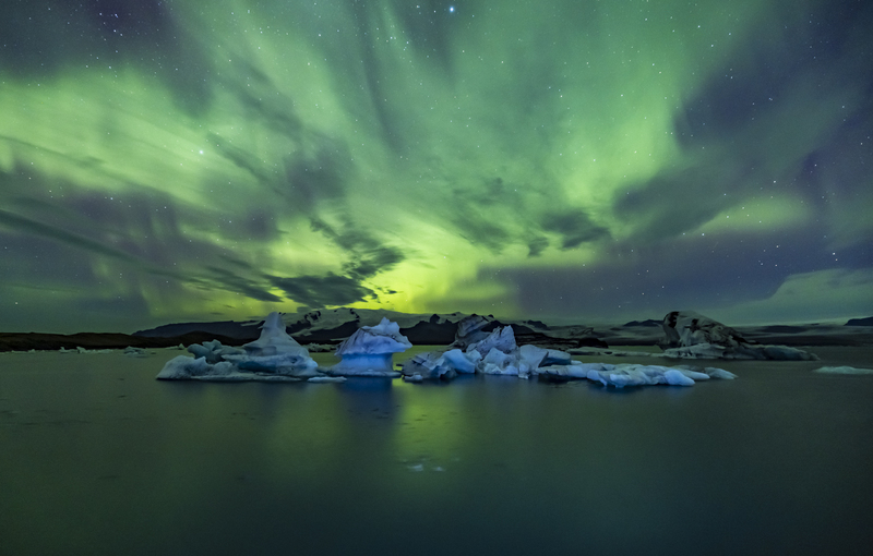 ralphie_I1A0476(2).jpg :: @ralphie.ca