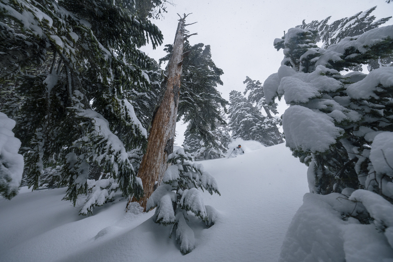 ralphie_I1A2110.jpg :: Skier: Jonny Rollins  Location: My Baker, WA  Photo: Bryan Ralph