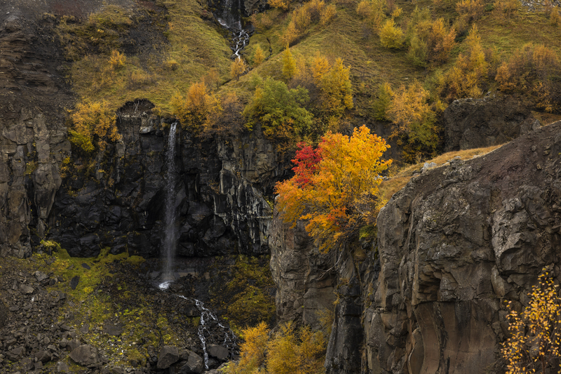 ralphie_I1A3781(1).jpg :: @ralphie.ca