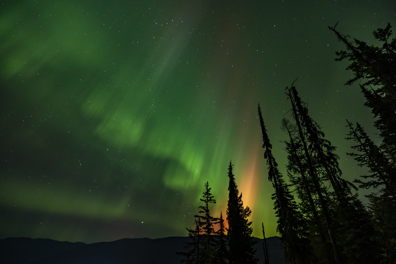 ralphie_I1A4139.jpg :: @ralphie.ca