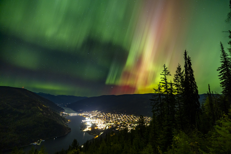 ralphie_I1A4165(1).jpg :: @ralphie.ca