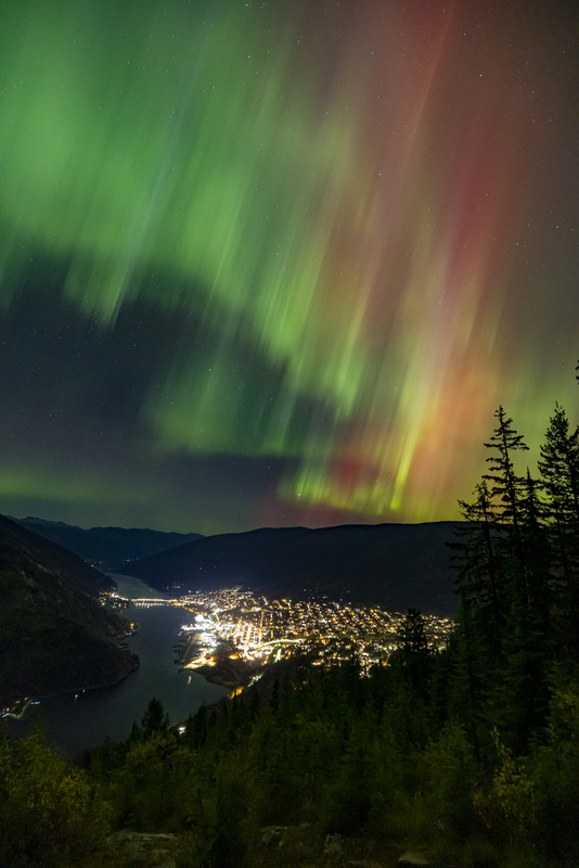 ralphie_I1A4181(1).jpg :: @ralphie.ca