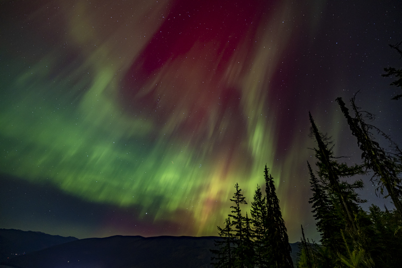 ralphie_I1A4210.jpg :: @ralphie.ca