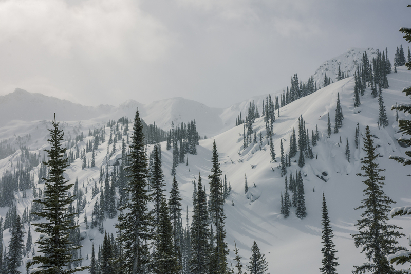 ralphie_I1A5376(1).jpg :: @ralphie.ca