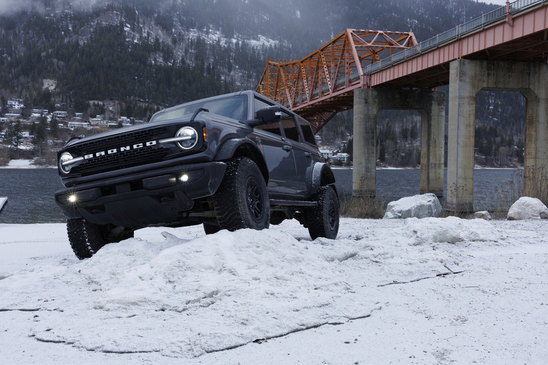 ralphie_I1A6043(1).jpg
