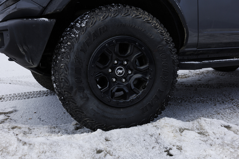 ralphie_I1A6353(1).jpg