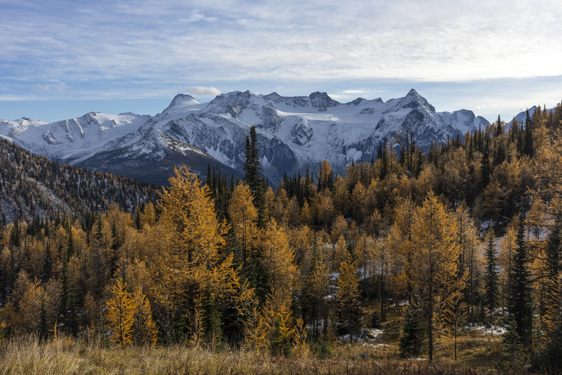 ralphie_I1A6420.jpg :: @ralphie.ca