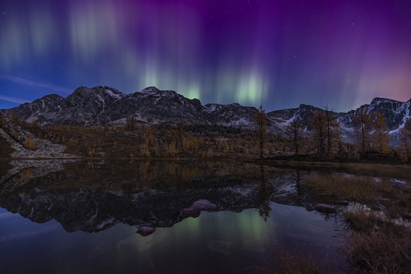 ralphie_I1A7276-2.jpg :: @ralphie.ca