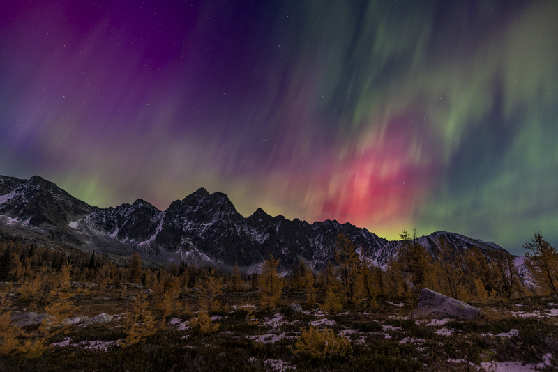 ralphie_I1A7283-2.jpg :: @ralphie.ca