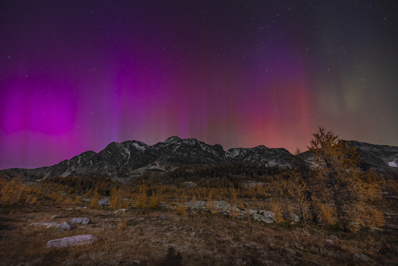 ralphie_I1A7337-2.jpg :: @ralphie.ca