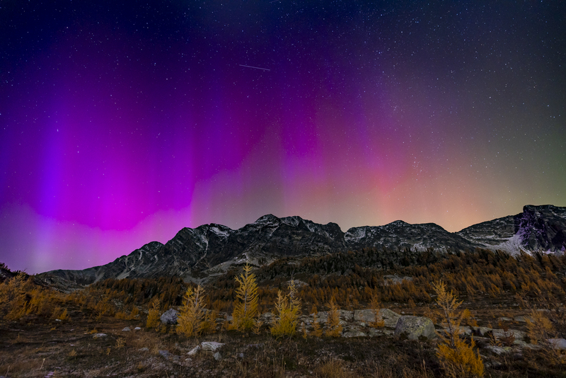 ralphie_I1A7348-2(1).jpg :: @ralphie.ca