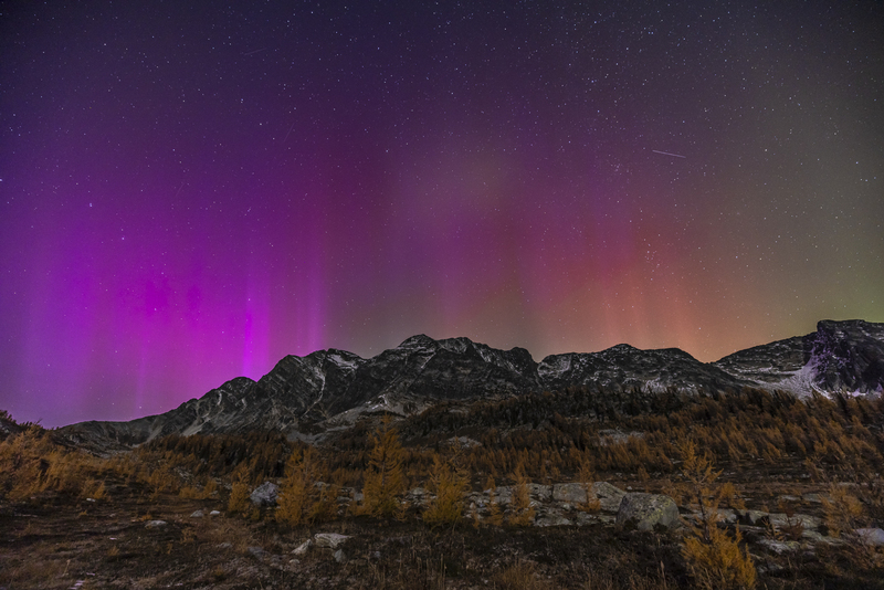 ralphie_I1A7352-2.jpg :: @ralphie.ca