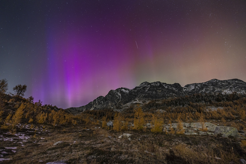 ralphie_I1A7381-2.jpg :: @ralphie.ca
