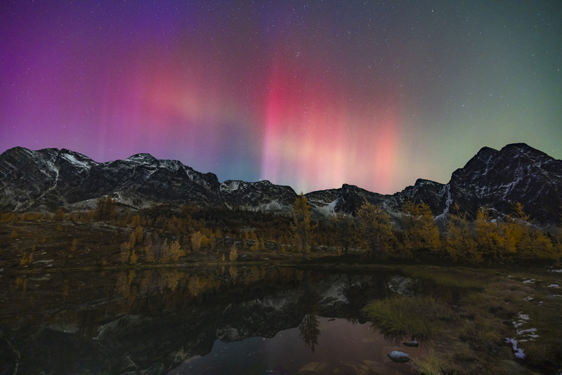 ralphie_I1A7396-9.jpg :: @ralphie.ca
