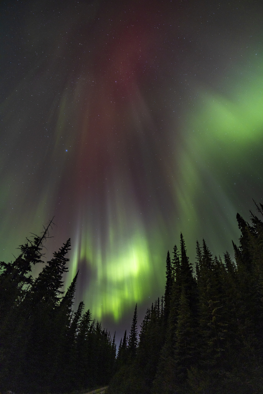 ralphie_I1A7420.jpg :: @ralphie.ca